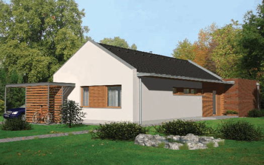 Model Paris Varianta III/P